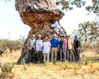 Team Frank at the Baobab Tree